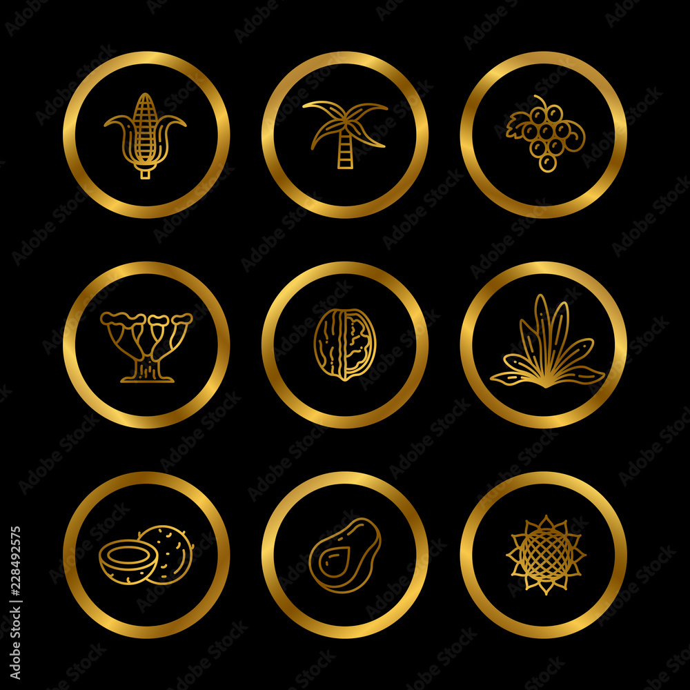 Gold icons of natural oil ingredients. Line eco products icons for food and cosmetics industry. Vector illustration