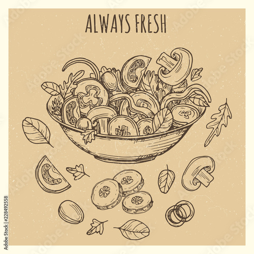 Fresh green salad vintage banner poster background design with hand drawn vegetables. Vector illustration