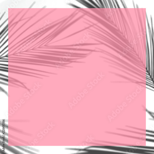 Creative layout made of colorful tropical leaves on white background. Minimal summer composition. Exotic concept with copy space. Border arrangement. © Zamurovic Brothers