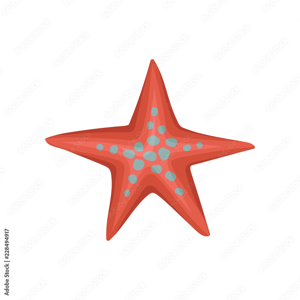 Bright red starfish or sea star with blue spots. Marine creature. Underwater life theme. Flat vector design Bright red starfish or sea star with blue spots. Marine creature. Underwater life theme. Flat vector design
