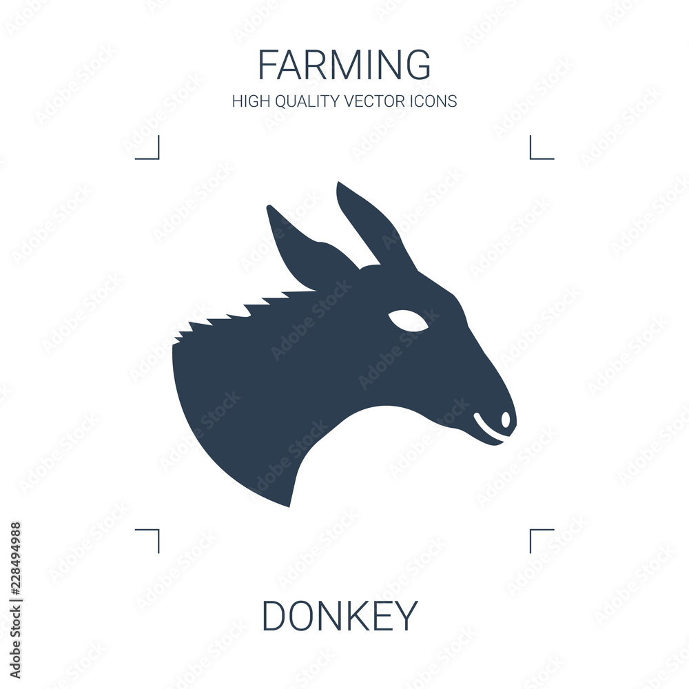 Fototapeta premium donkey icon