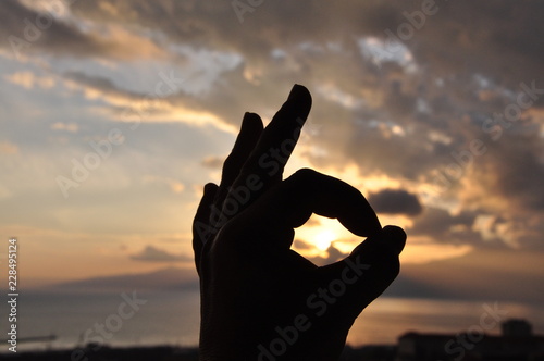hand silhouette of woman holding hands on the beach at sunset