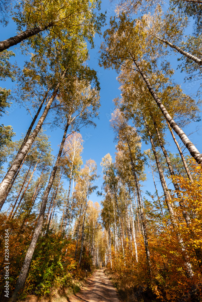 Barwy jesieni na Podlasiu Barwy jesieni na Podlasiu