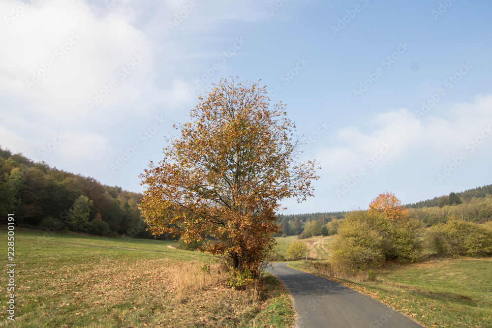 Herbst in den Mittelgebirgen