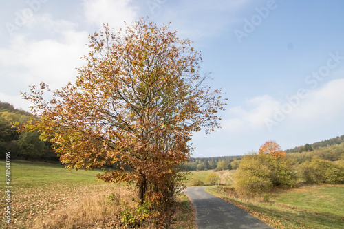 Herbst in den Mittelgebirgen