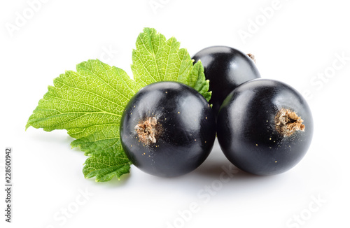 Currant black isolated. Black currant with leaf on white background.