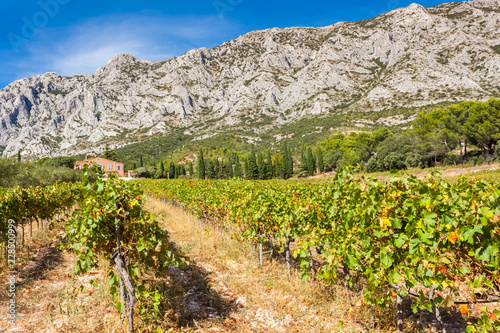 montagne Sainte-Victoire, Provence, France photo