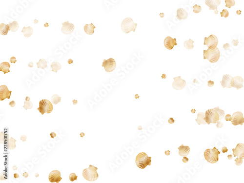 Gold seashells, golden pearl bivalved mollusks.