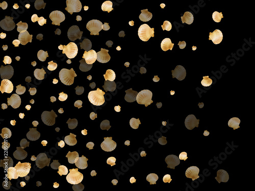 Gold seashells, golden pearl bivalved mollusks.