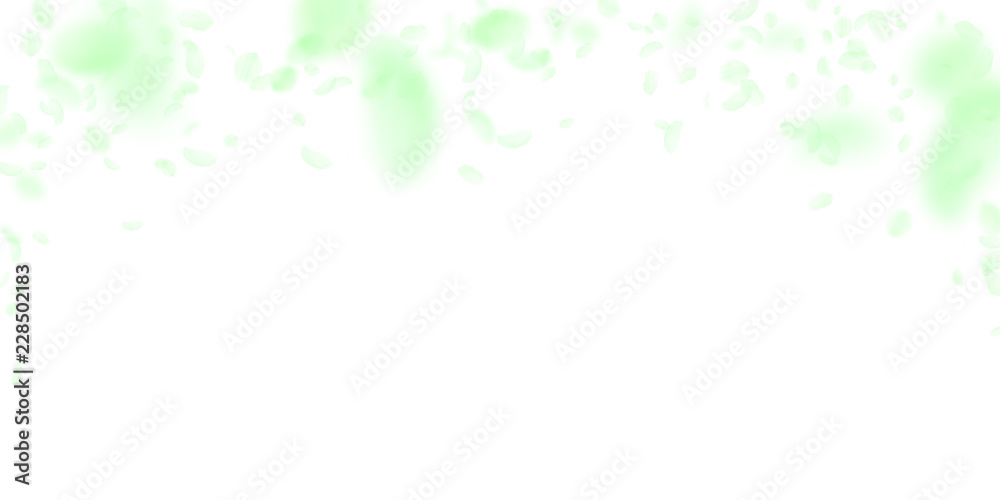 Green flower petals falling down. Noteworthy roman Green flower petals falling down. Noteworthy roman