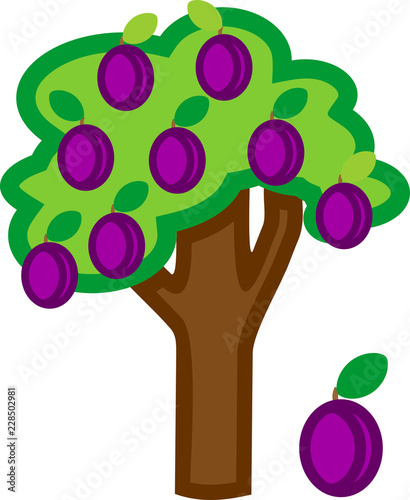 Cartoon plum tree with ripe plums and green crown isolated on white background