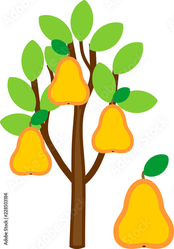 Cartoon pear tree with ripe yellow pears and green leaves isolated on white background