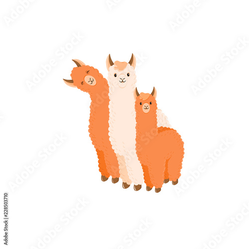 Cute llama or alpaca flat characters set for nursery design, poster, banner, logo, icon, greeting card, sticker. Baby llama or little alpaca for wool producer. Cartoon wild animal in scarf and pompons