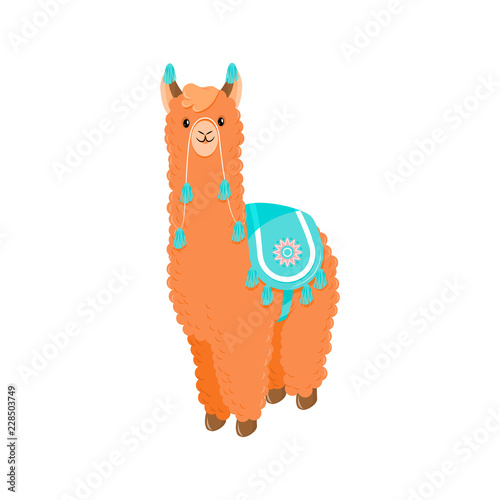 Cute llama or alpaca flat characters set for nursery design, poster, banner, logo, icon, greeting card, sticker. Baby llama or little alpaca for wool producer. Cartoon wild animal in scarf and pompons