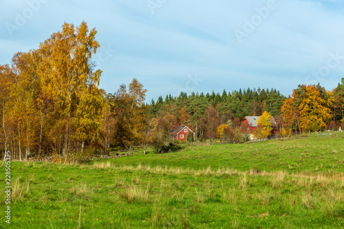 Svensk landsbygd i höstfärger