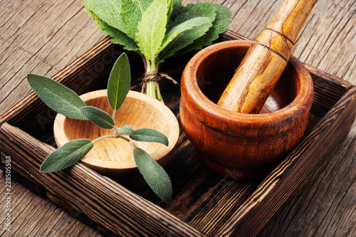 Wallpaper Mural Natural medicine, herbs Torontodigital.ca