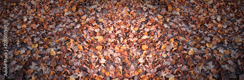 Background with yellow, aut...