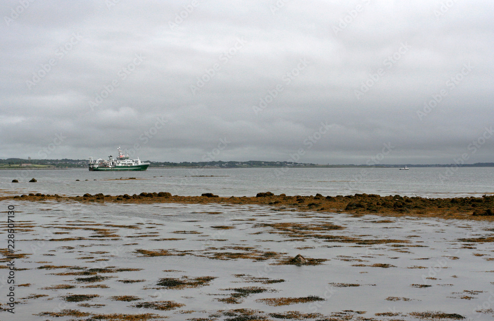 The sea shore with seaweeds at low tide and the far white ship on the cloudy summer day. The sea shore with seaweeds at low tide and the far white ship on the cloudy summer day.