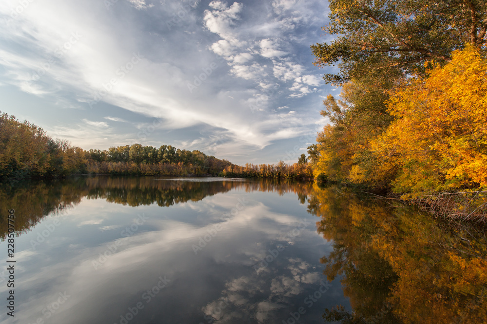 beautiful yellow autumn trees by the lake