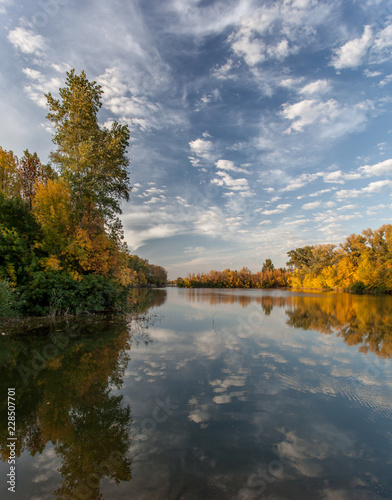 beautiful yellow autumn trees by the lake