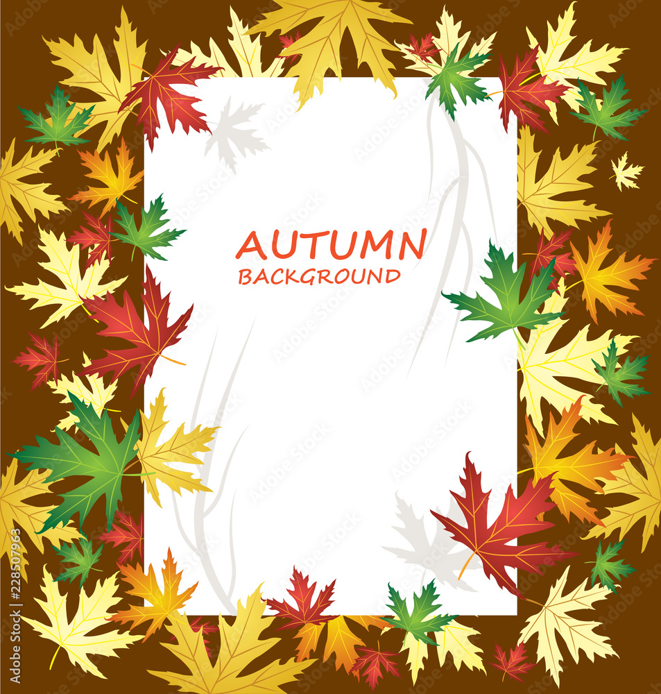 Blank paper on autumn background with different kind of leaves - Vector Illustration
Blank paper on autumn background with different kind of leaves - Vector Illustration