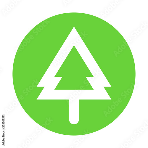 Spruce Icon