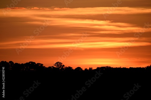 Majestic sunset over the river at Florida, USA © itsallgood