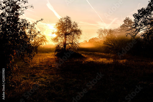 Morgensonne