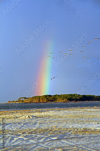 Rainbow over the Ocean