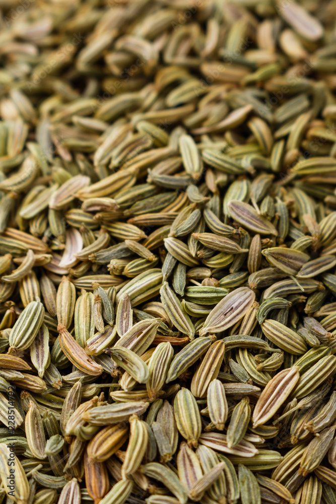essential oil of fennel seeds on a white background essential oil of fennel seeds on a white background