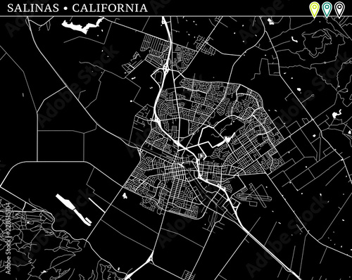 Simple map of Salinas, California photo