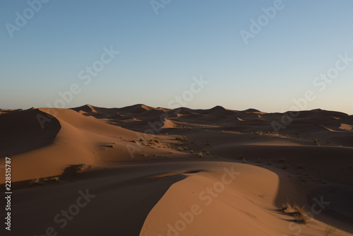Dunes in the desert of Sahara  Morocco.