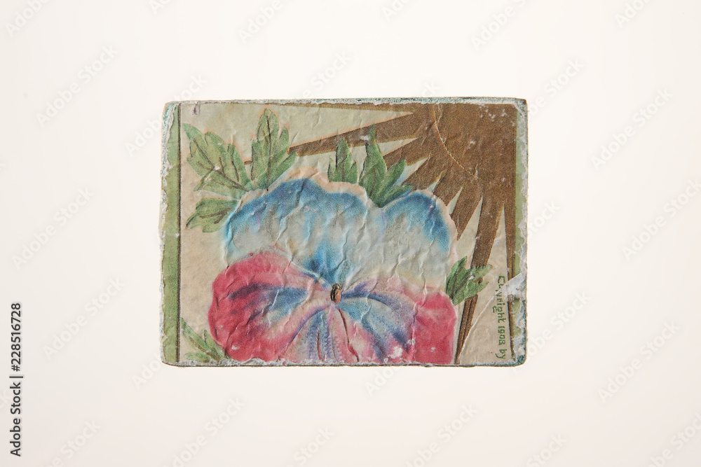 Fototapeta premium 素材