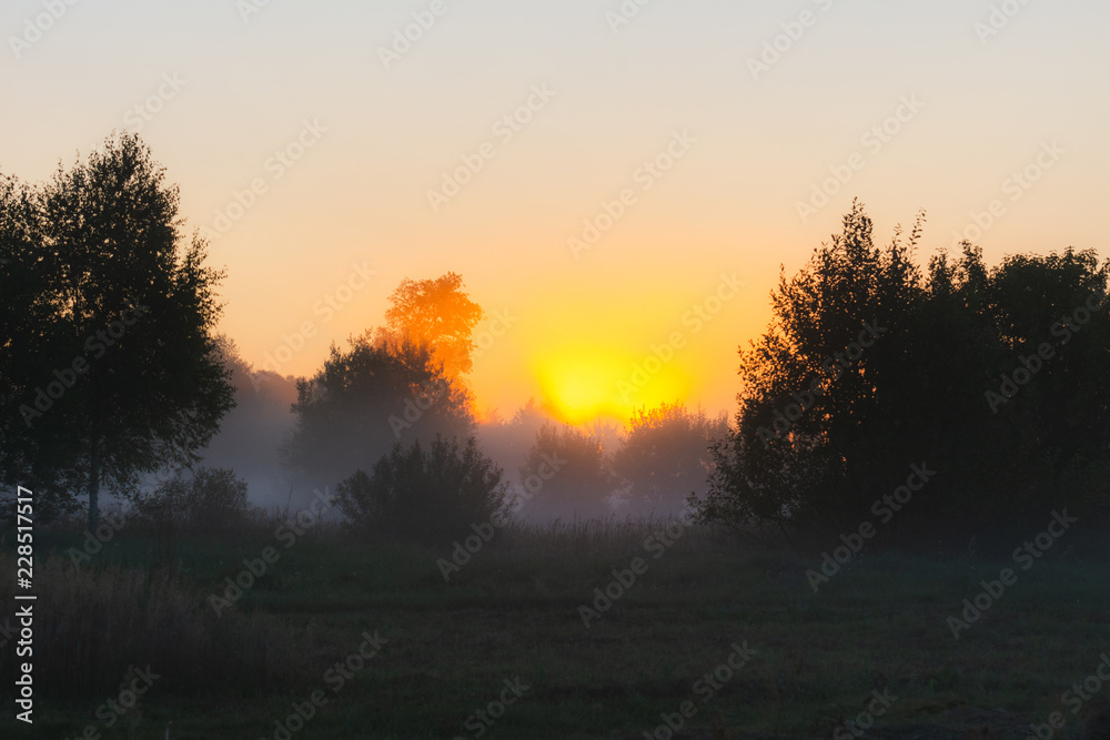 The sun's rays Shine through the fog in the summer morning at dawn in a field with trees The sun's rays Shine through the fog in the summer morning at dawn in a field with trees