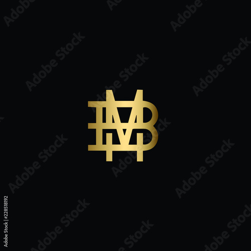 Creative Solid Minimal Letter BM Logo Design In vector Format
