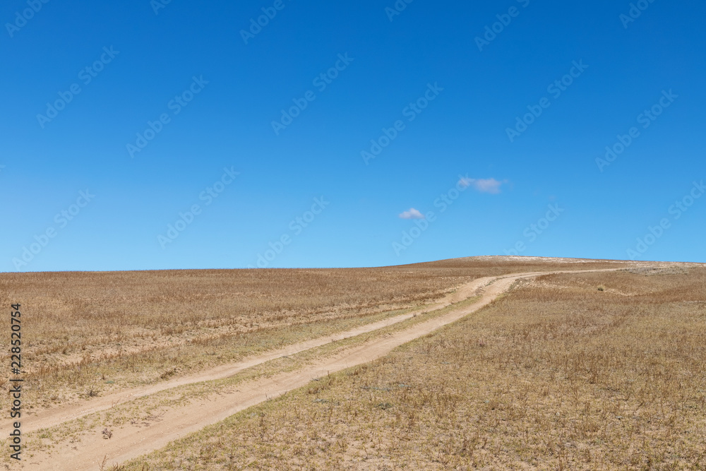 path of wilderness and blue sky path of wilderness and blue sky