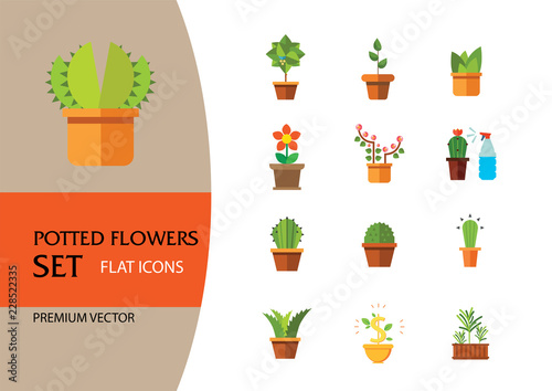 Potted Flowers Icon Set. Money Tree Cactus In Pot Cactus And Spray Bottle Plant Blooming Flower Chinese Peach Tree Cactus Red Flower Cactus In Flower Pot Tree In Pot Aloe Vera