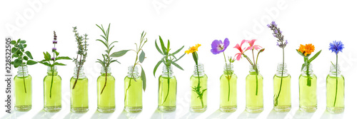 essential oil banner. Essential oil. essential oil with flower, and fresh medicinal herbs, on white background photo
