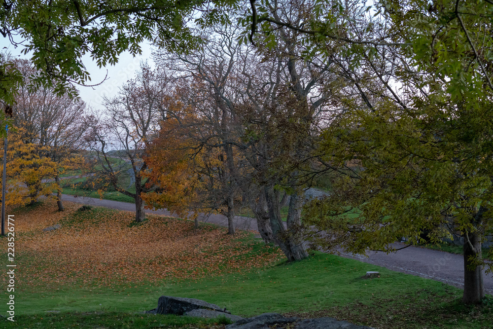 autumn park in the sea fortress