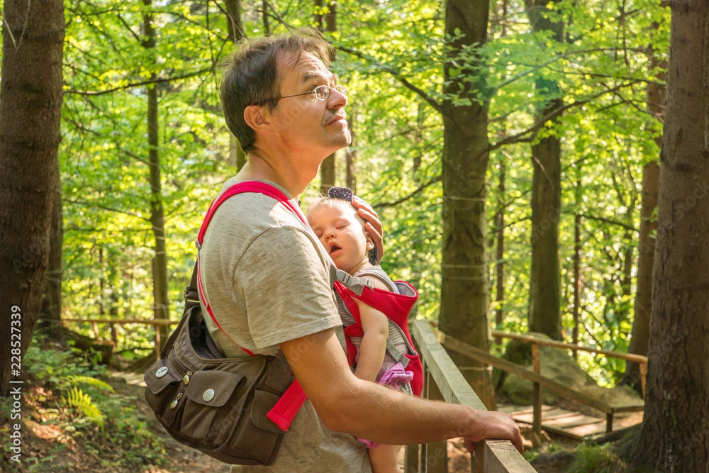 Obraz premium Father with a sleeping baby in a backpack for a walk in the woods.