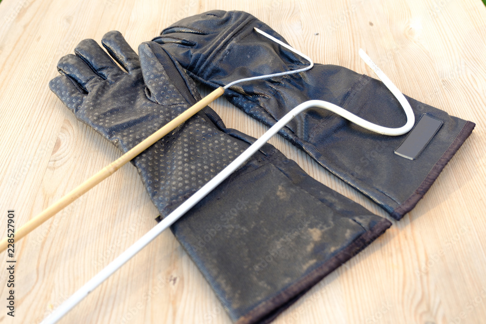 Protective gloves and goggles for working with venomous snakes on the