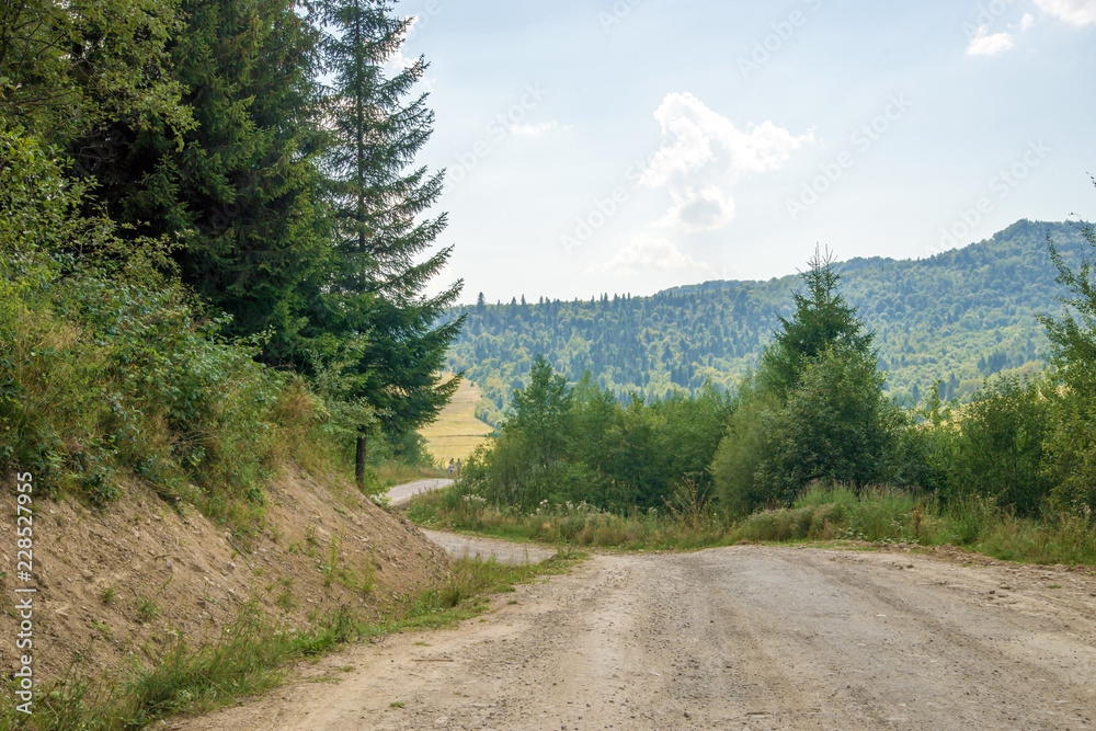 Dirt road leading to the rocks in the mountains, summer landscape.