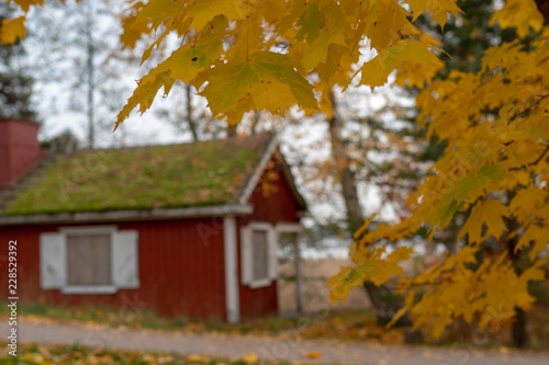 Red house in yellow autumn