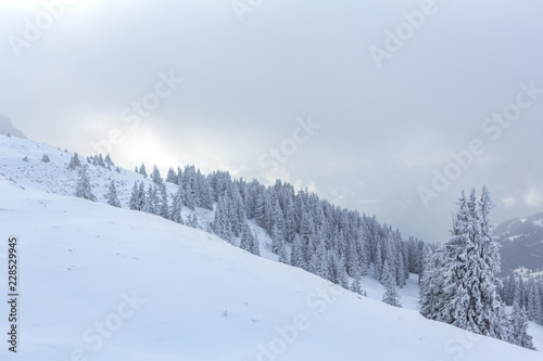 Verschneite Schneelandschaft im Nebel - Parpaner Rothorn, Lenzerheide, Schweiz © Stephanie Jud