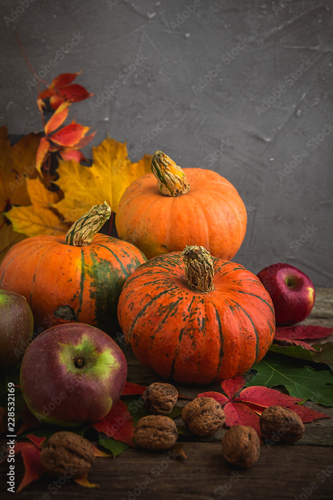 Autumn harvest of pumpkins, apples, nuts on a wooden background Autumn natural background with multi-colored oak leaves and copy space in rustic style Autumn harvest of pumpkins, apples, nuts on a wooden background Autumn natural background with multi-colored oak leaves and copy space in rustic style
