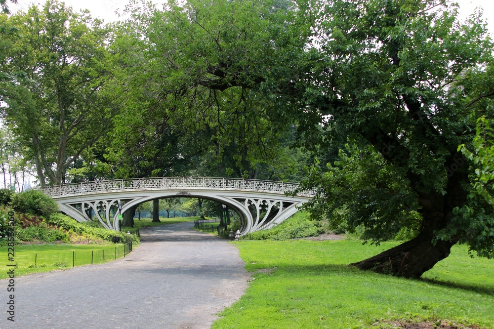 new york, Gothic bridge, tree, landscape, nature, old, park, trees, nyc, ny, Central Park, Manhattan, new york, Gothic bridge, tree, landscape, nature, old, park, trees, nyc, ny, Central Park, Manhattan,