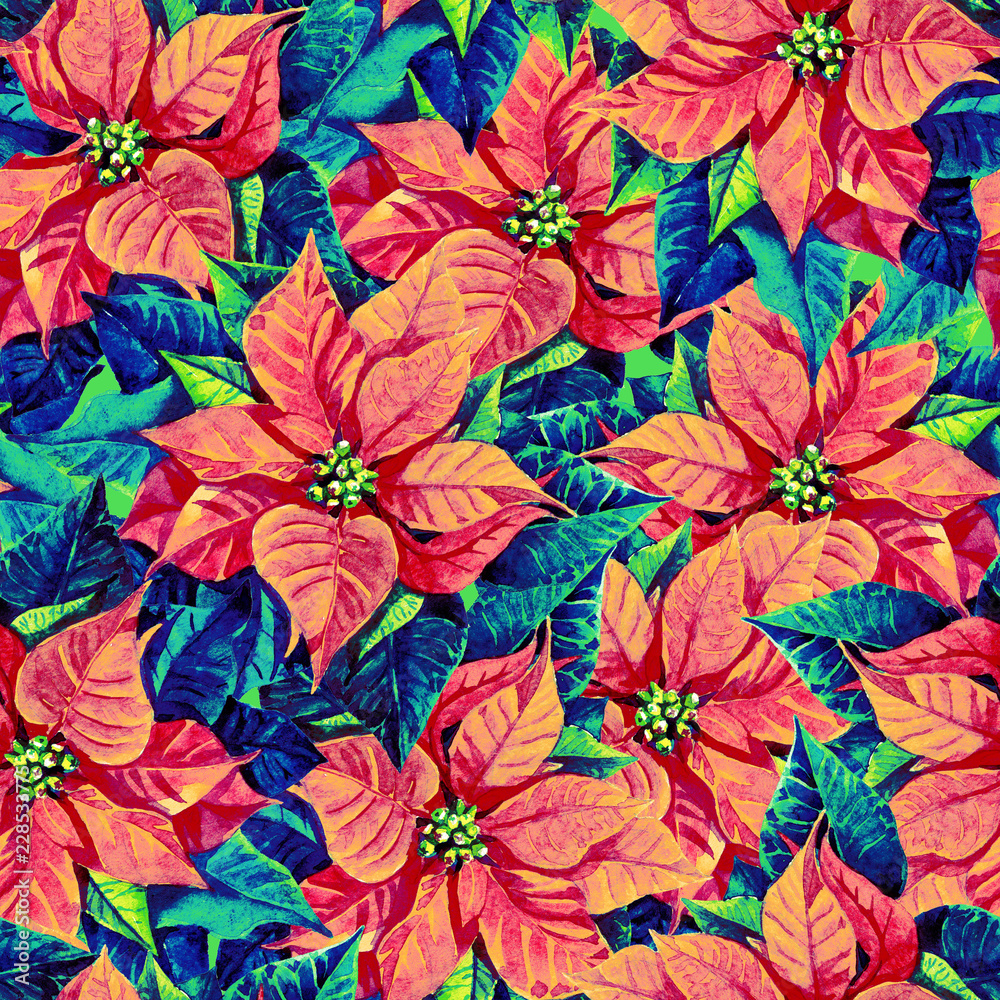 custom made wallpaper toronto digitalSeamless pattern of poinsettia, watercolor background Christmas illustration.