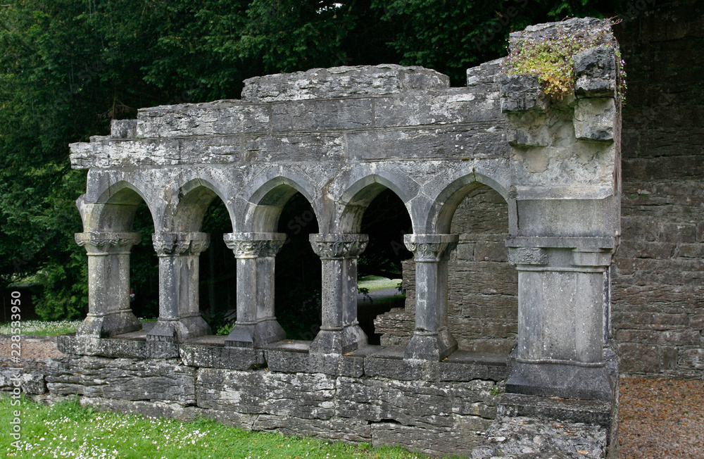 The gothic stone colonnade with arches and green grass. There are the stone ruins of the medieval abbey on the summer rainy day.   