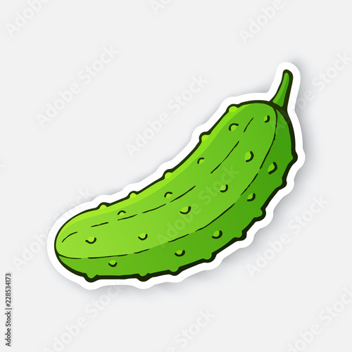 Vector illustration. Green cucumber with a stem. Healthy vegetarian food. Ingredient for salad. Decoration for patches, signboards, showcases, menus. Sticker with contour. Isolated on white background