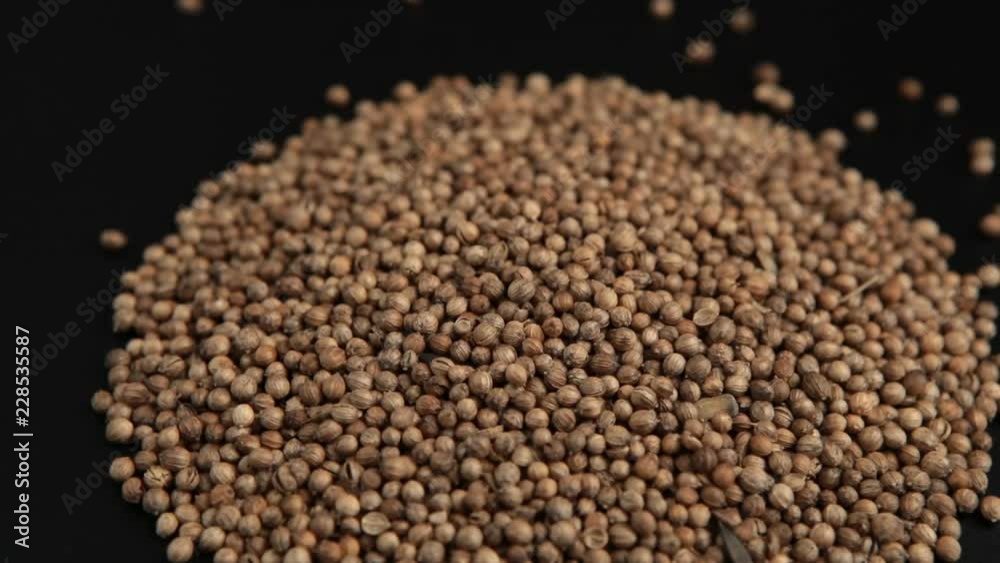Pile of coriander seeds. Rotating on the turntable
